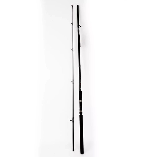 Fishing spinning rod and - fishing,