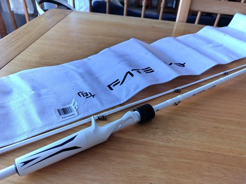 Fishing fate baitcasting - 13,