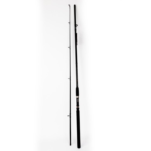 Fishing spinning rod and reel - spinning,